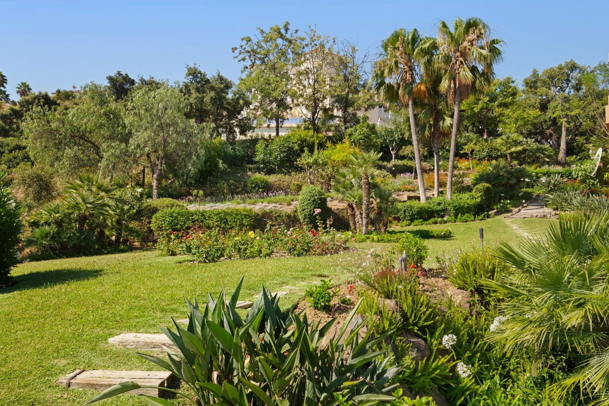 Property main view 40