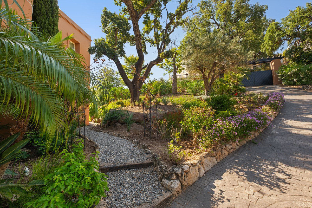 Property main view 51