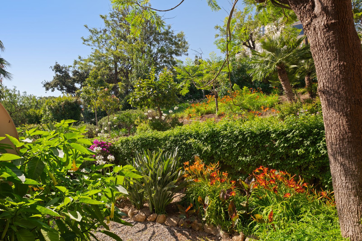 Property main view 53