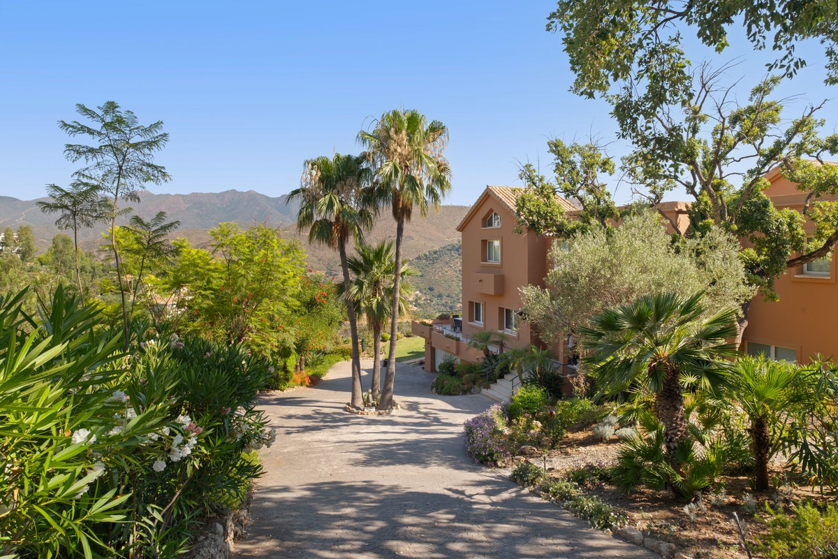 Property main view 59