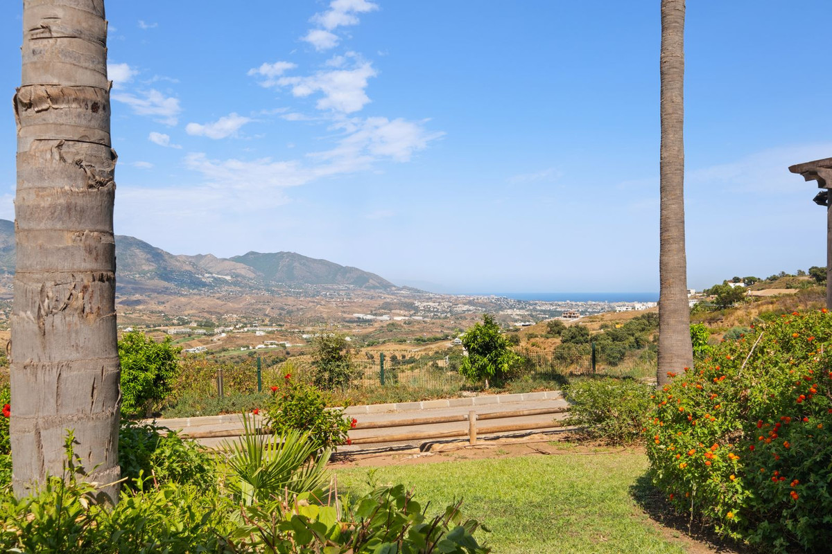 Property main view 24