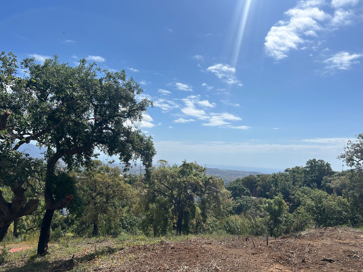 Huis te koop in La Mairena | 0 slaapkamers H5462953