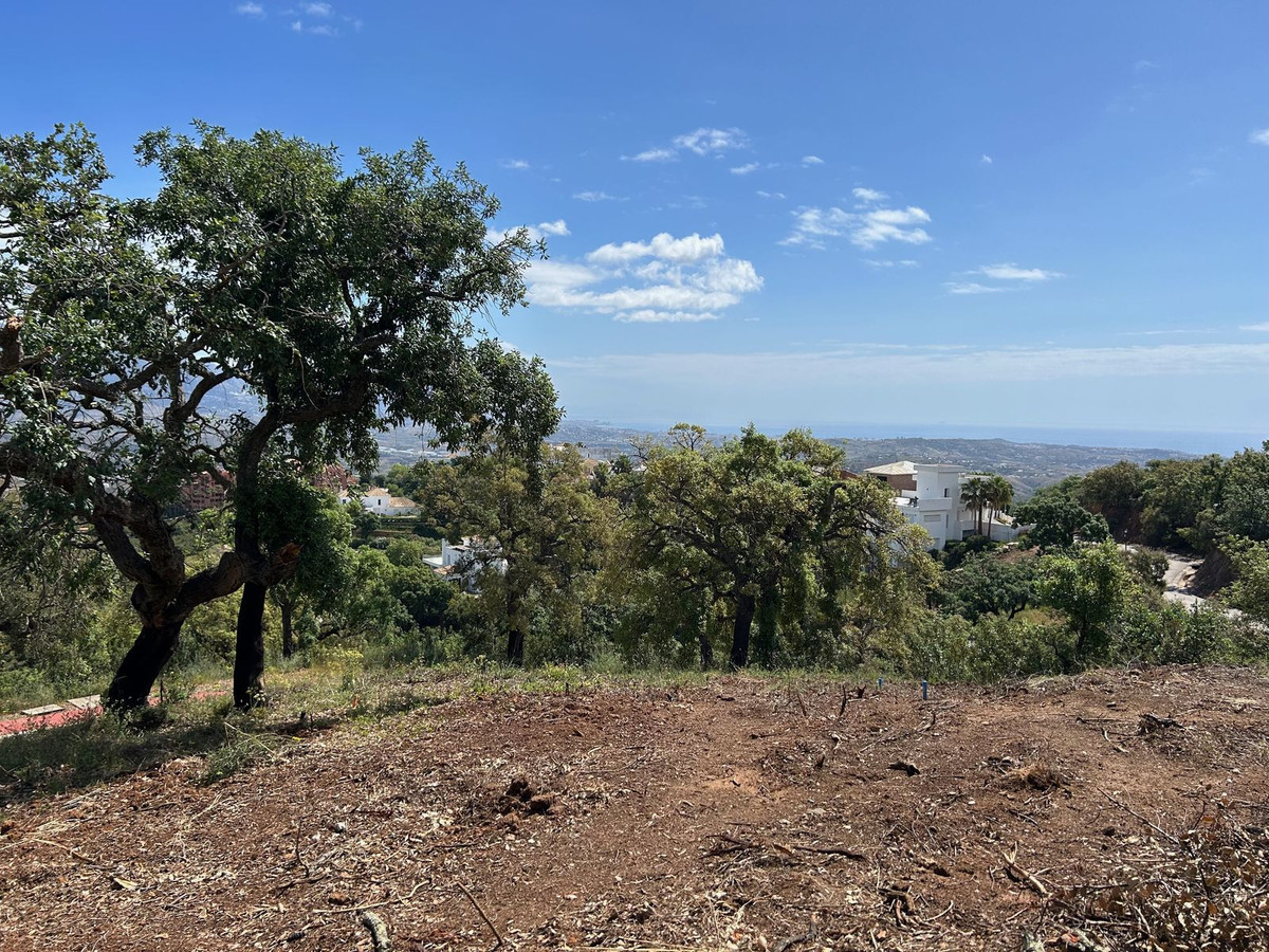 Huis te koop in La Mairena | 0 slaapkamers H5462953