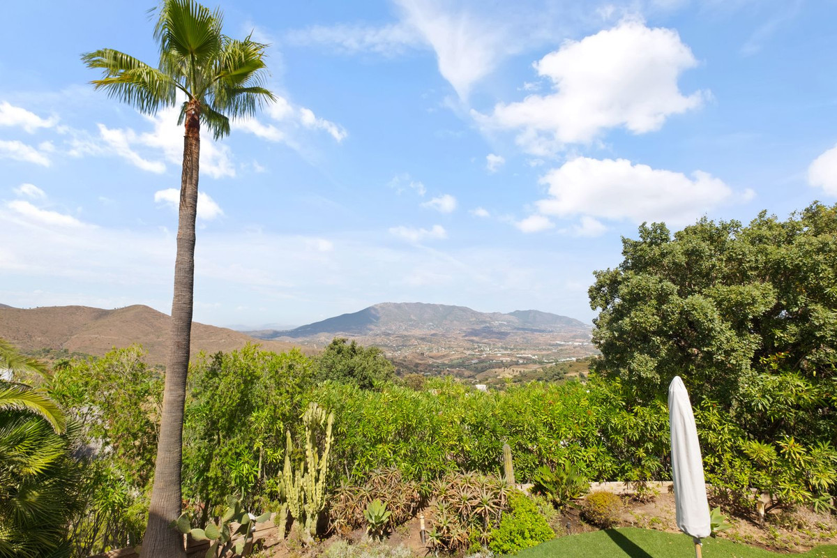 Property main view 31