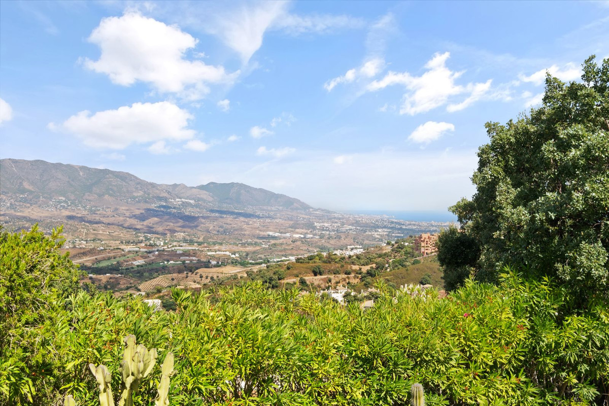 Property main view 32