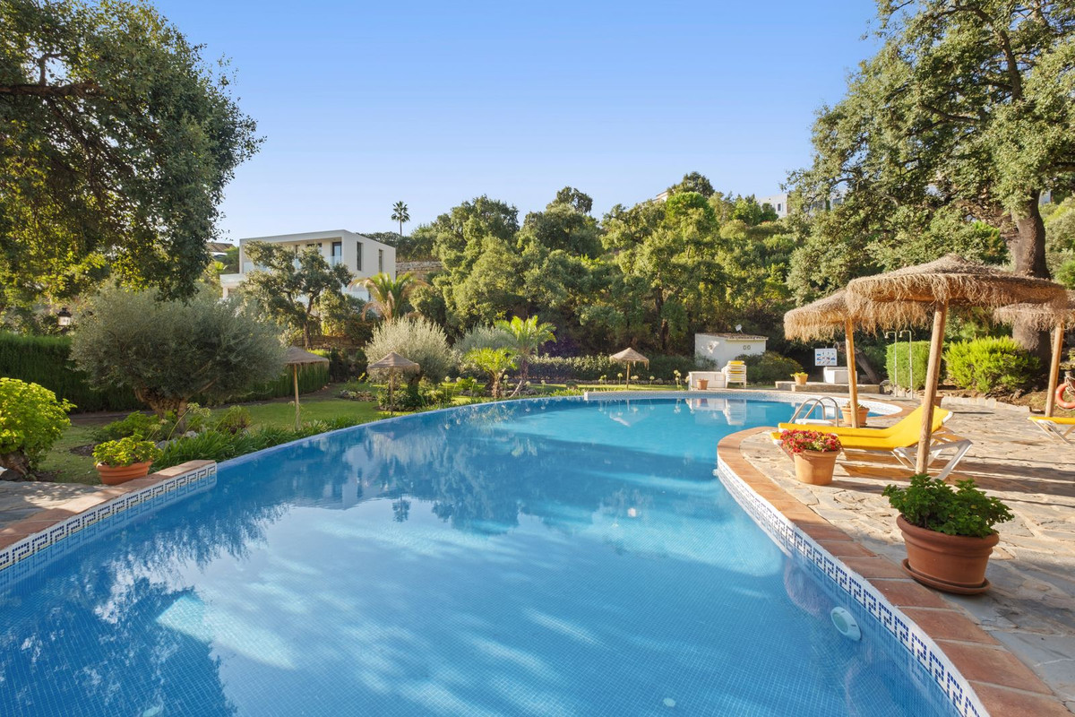 Property main view 41