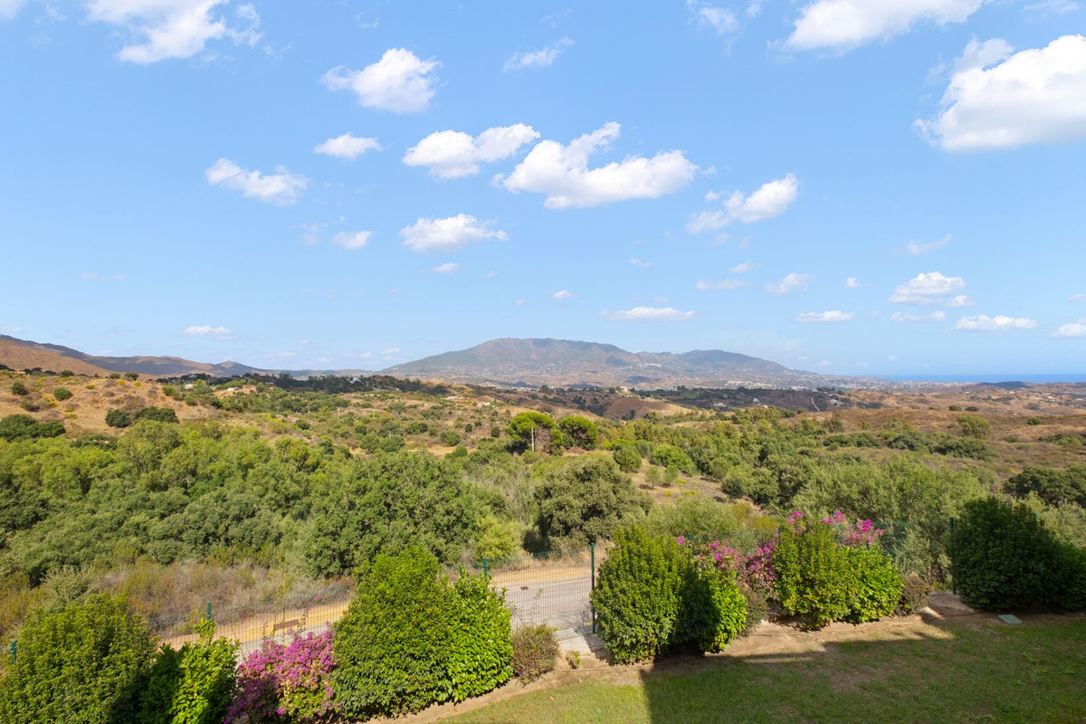 Property main view 39