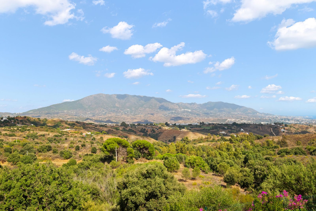 Property main view 40