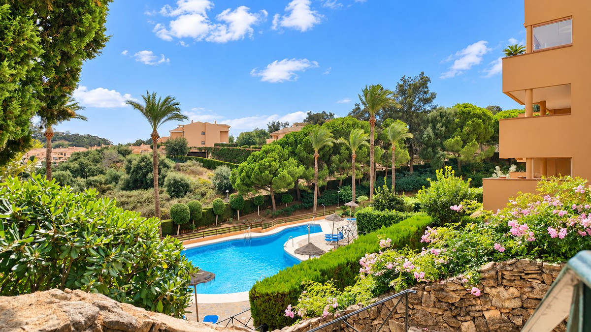 Property main view 24