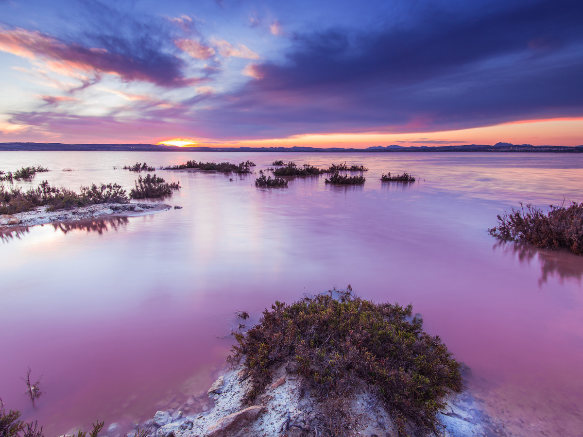 Appartement te koop in La Mata | 2 slaapkamers H5212747