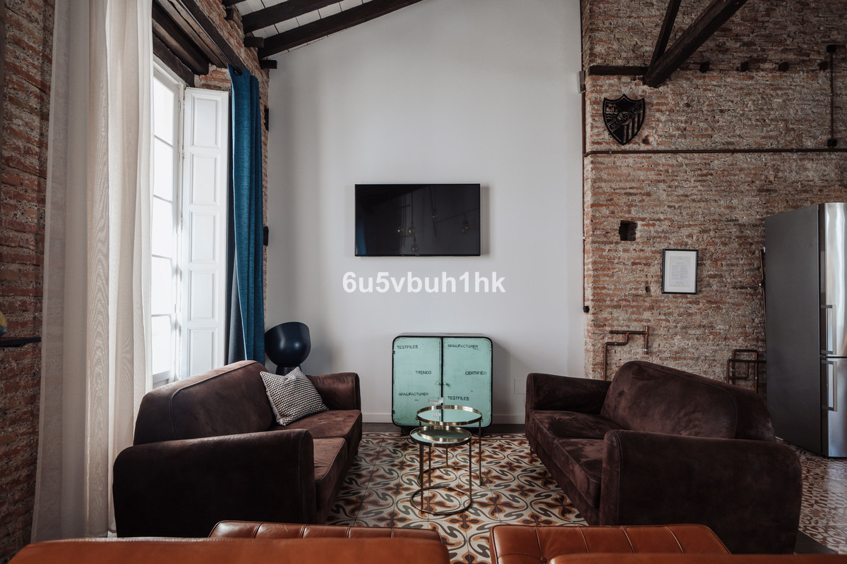 Penthouse in La Merced-8