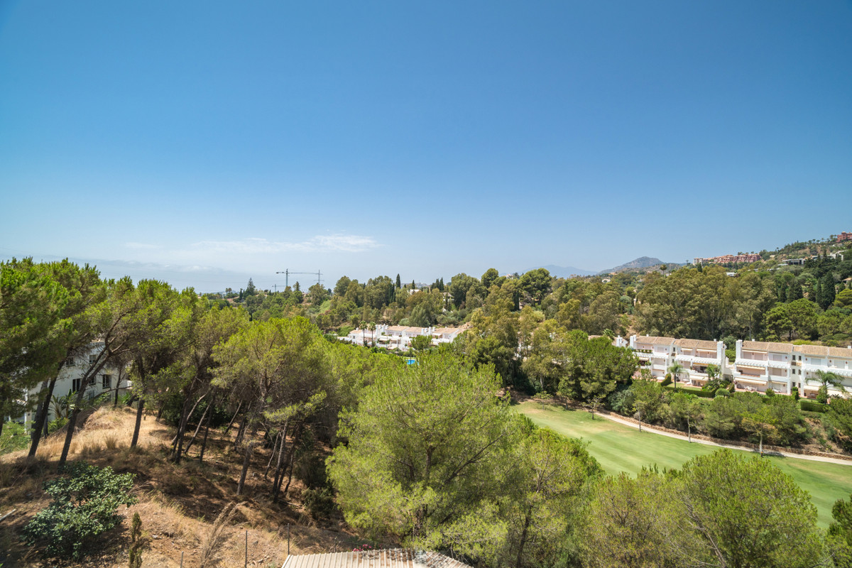 Property main view 12