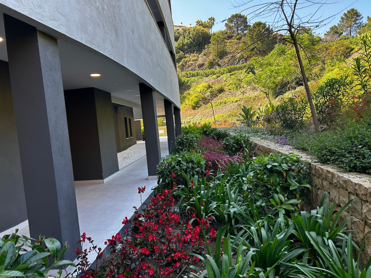 Property main view 38