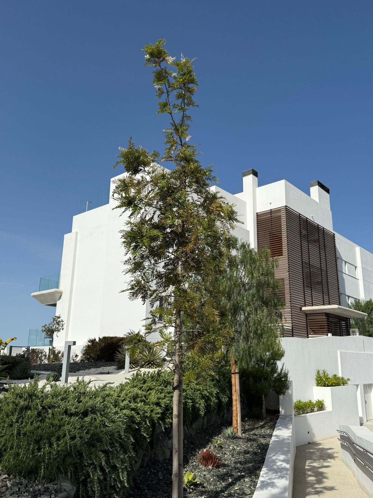 Penthouse in La Quinta-33