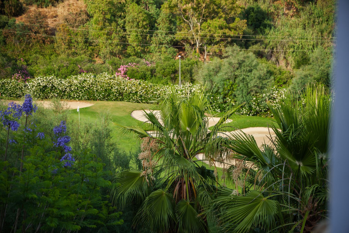 Property main view 24