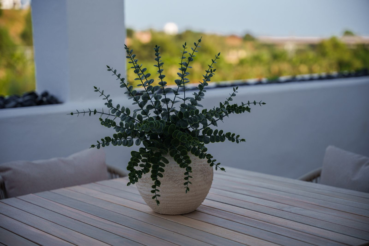 Property main view 25