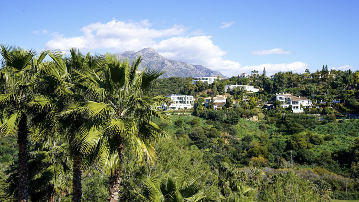 Property main view 23