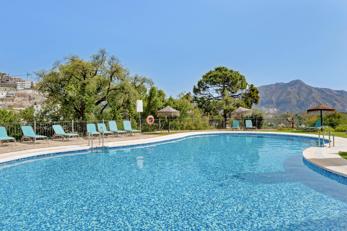 Property main view 24