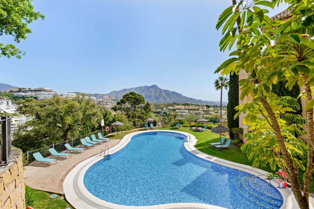 Property main view 25