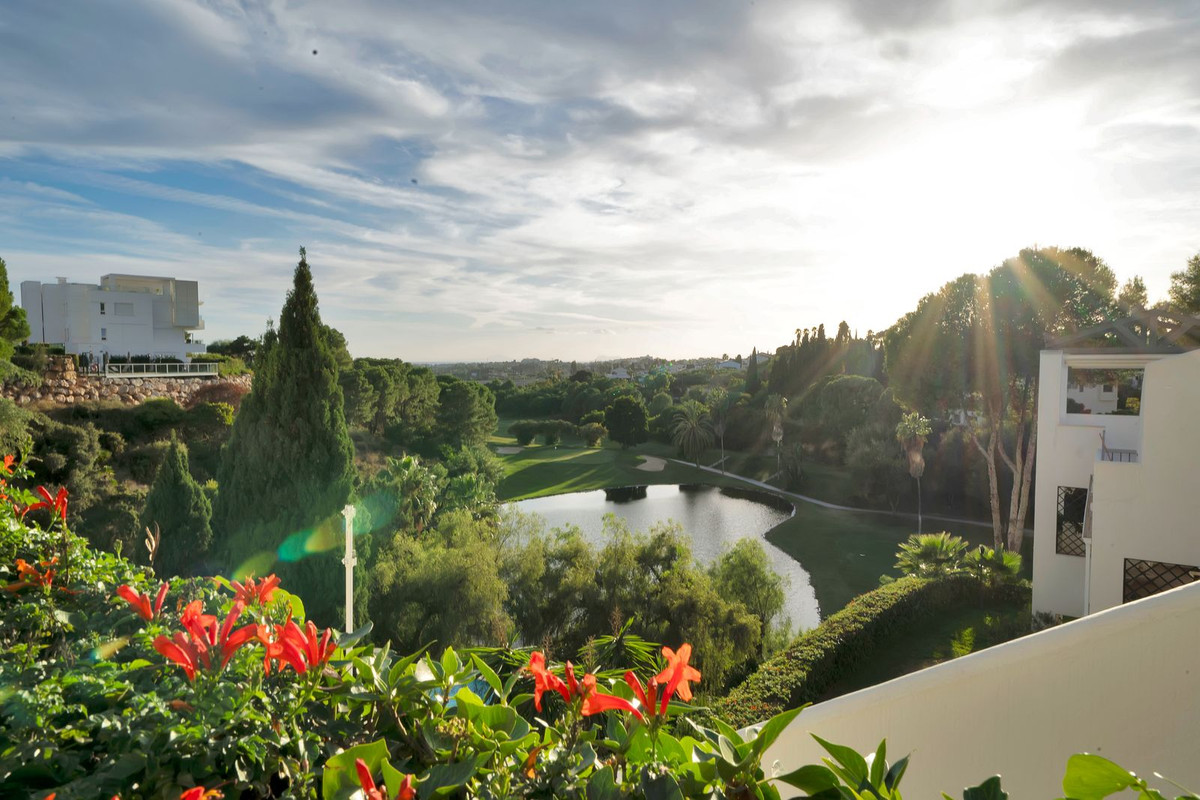 Property main view 18