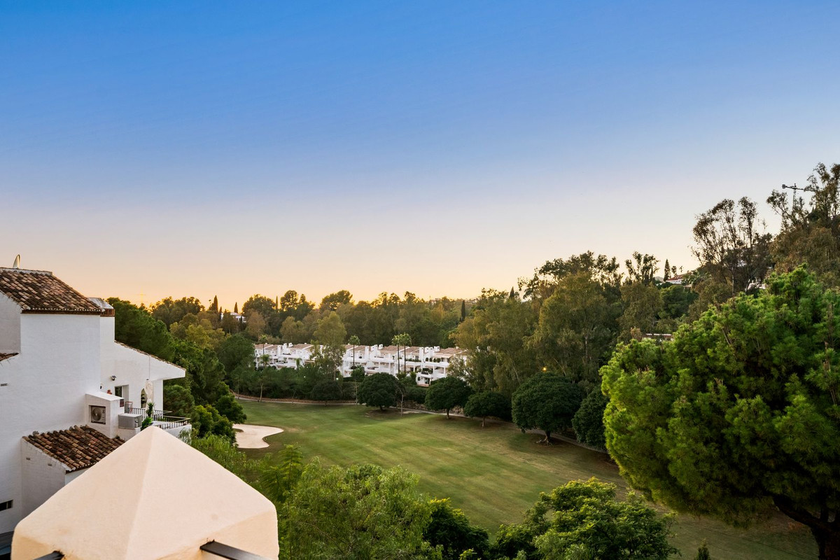 Property main view 54