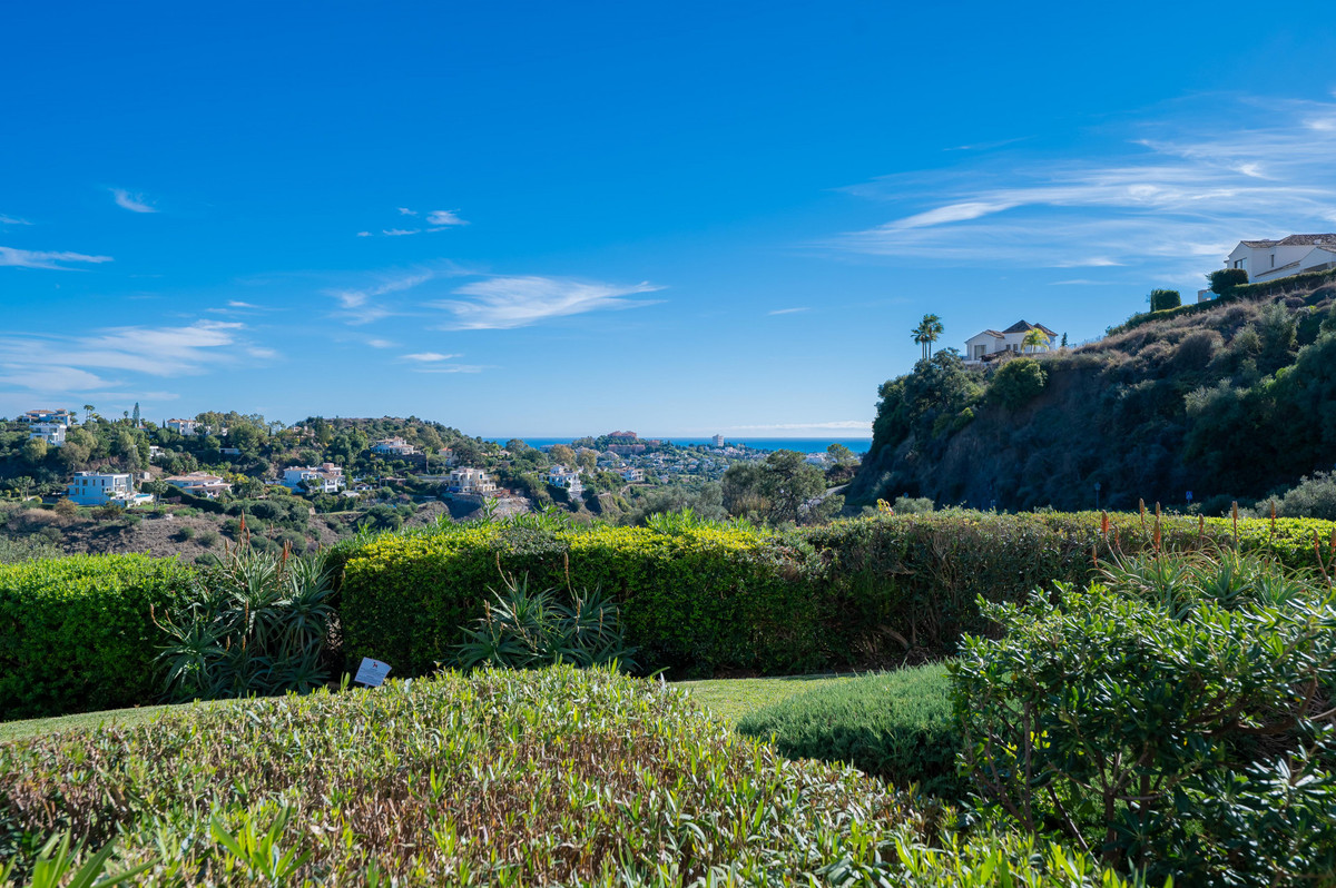 Property main view 21