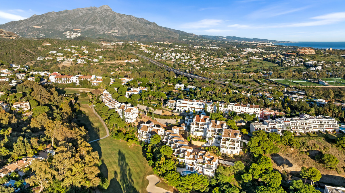 Property main view 52