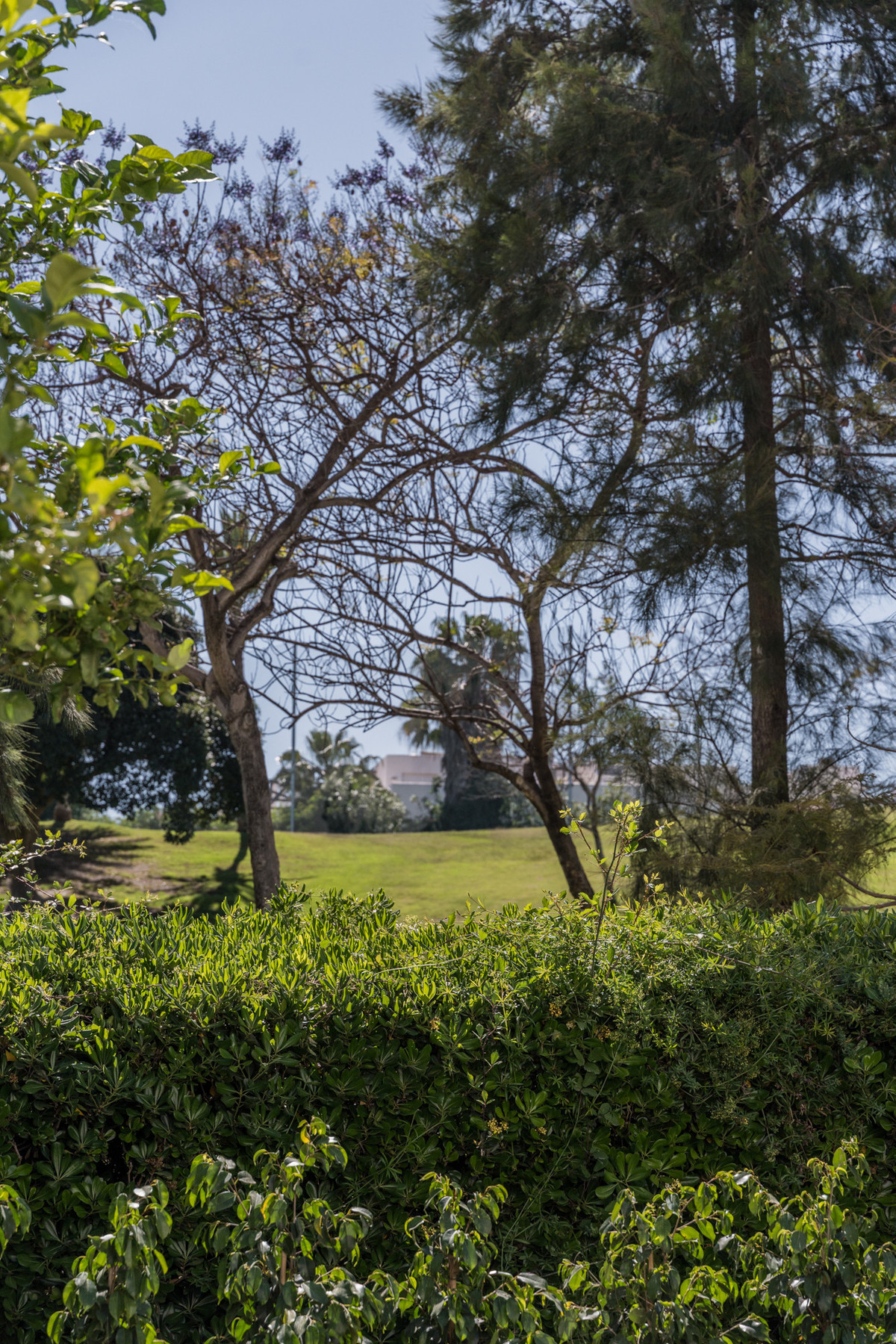 Property main view 20