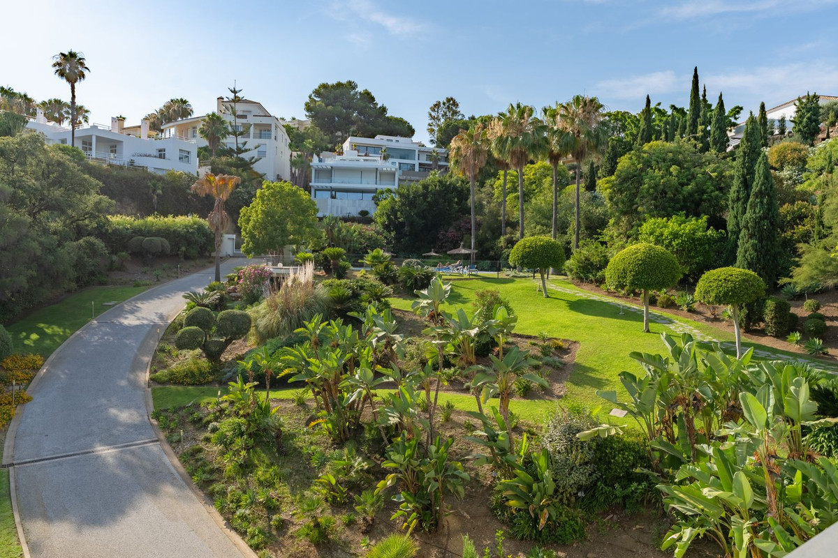 Property main view 30