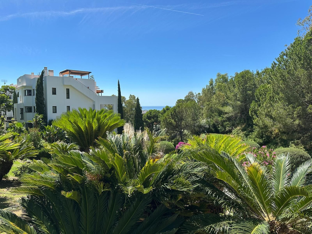 Property main view 75
