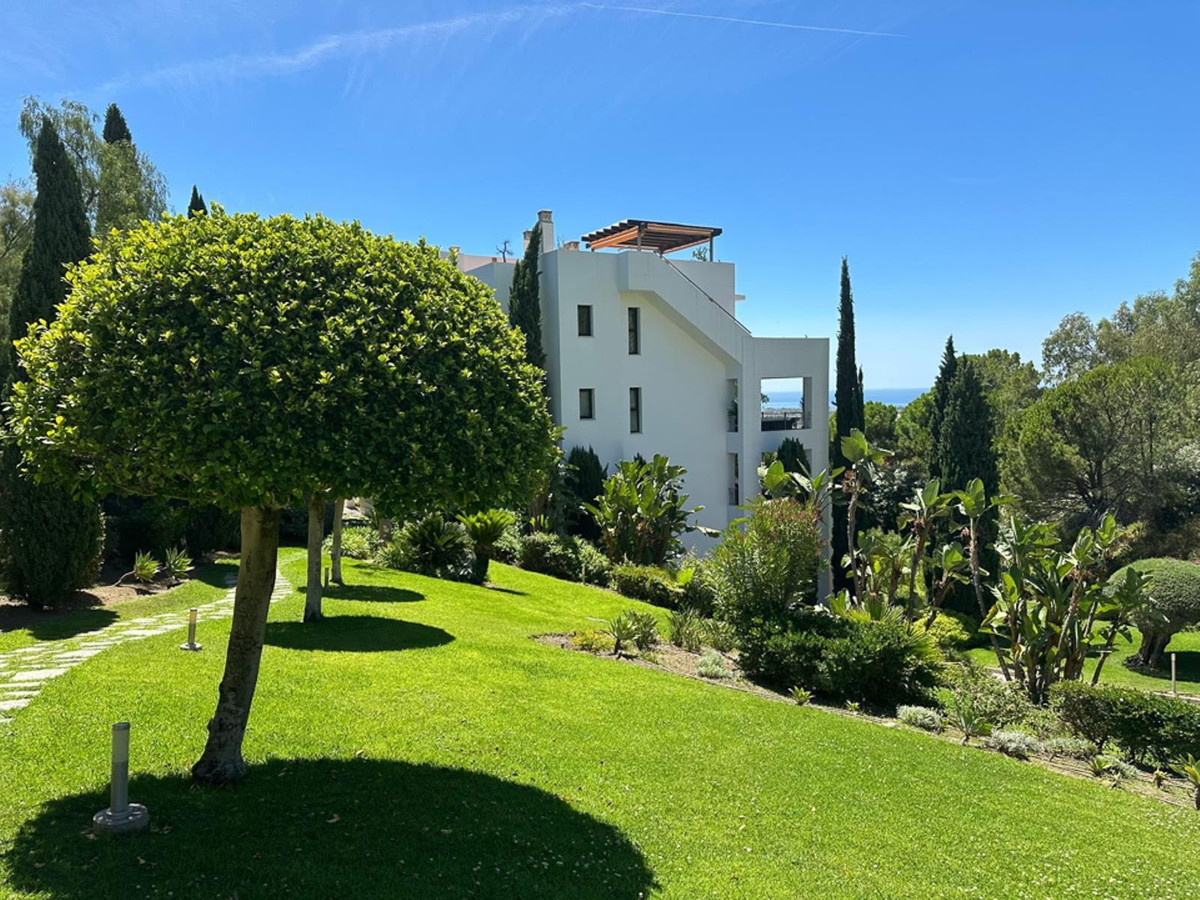 Property main view 80