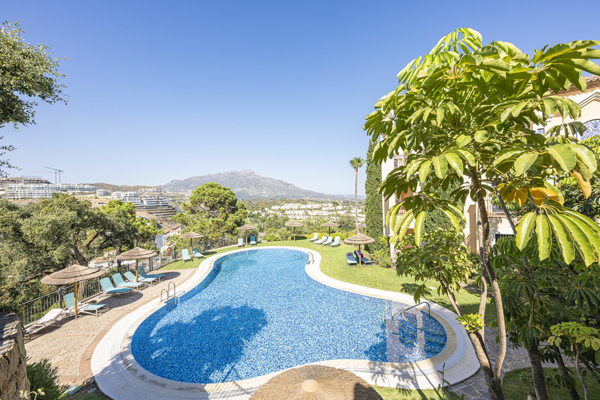 Property main view 20