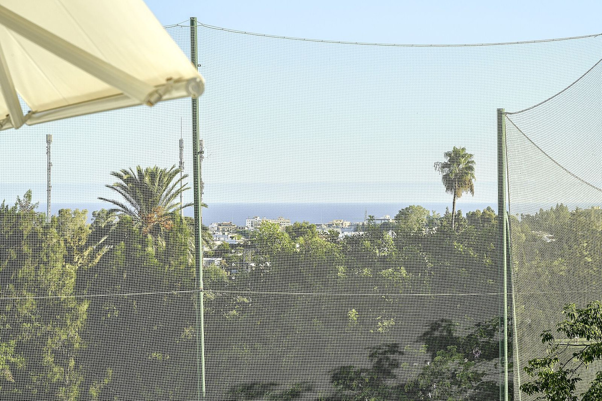 Property main view 32