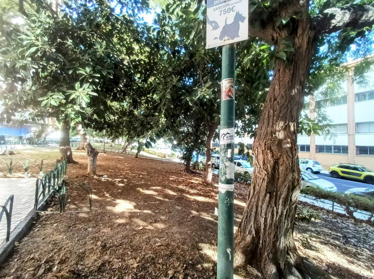 Property main view 51