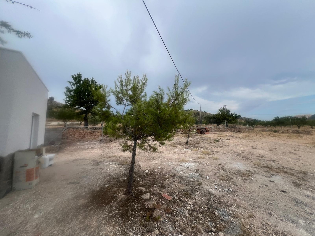 Property main view 17