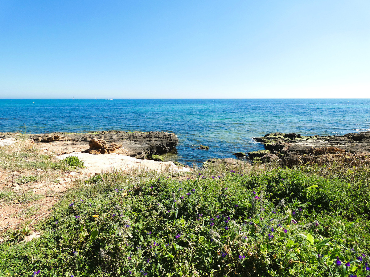 Property main view 36