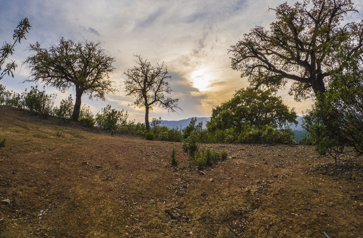 Property main view 10