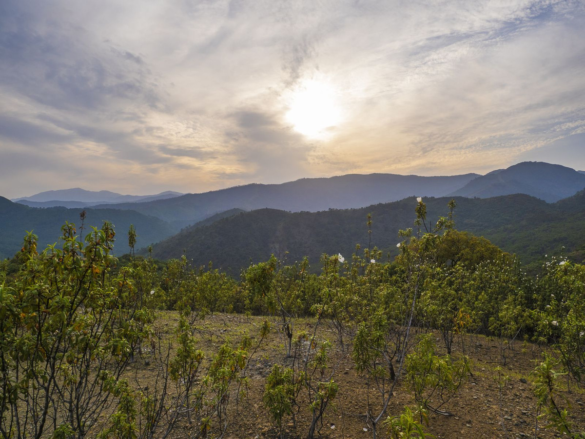 Property main view 11