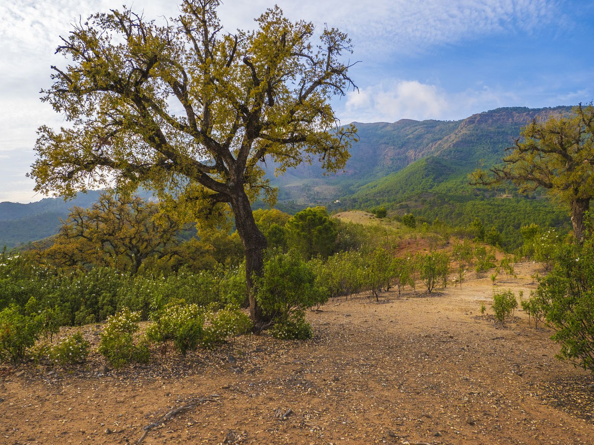 Property main view 6