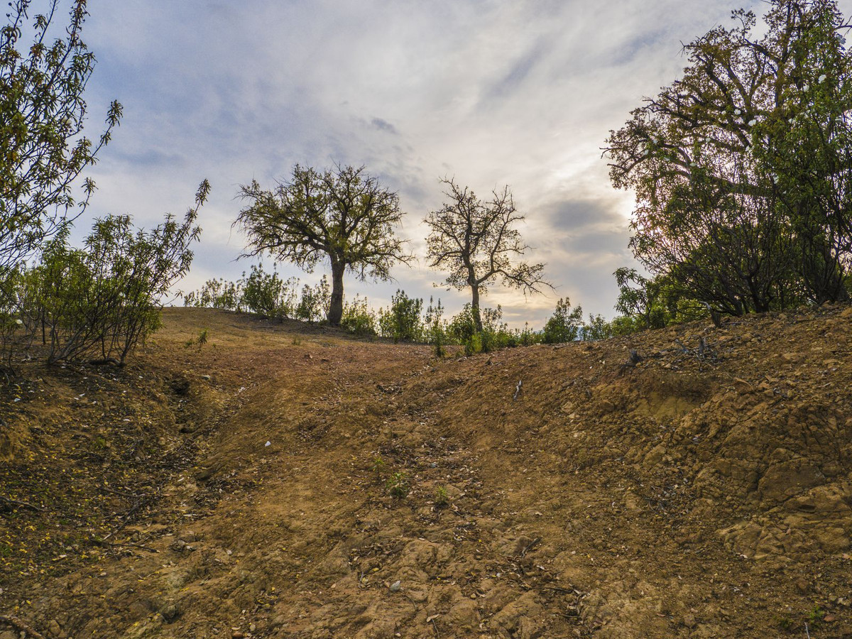 Property main view 8