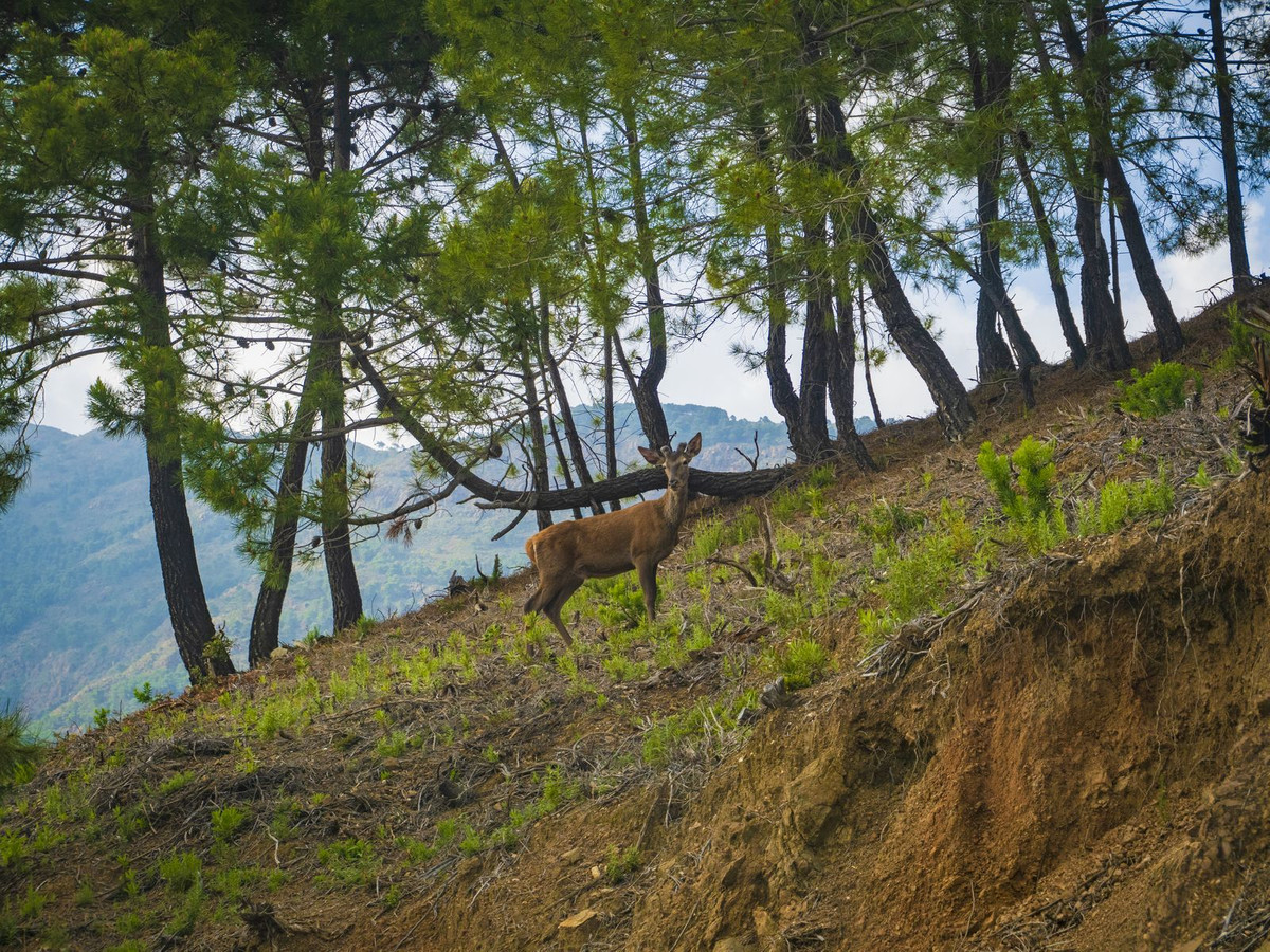 Property main view 9