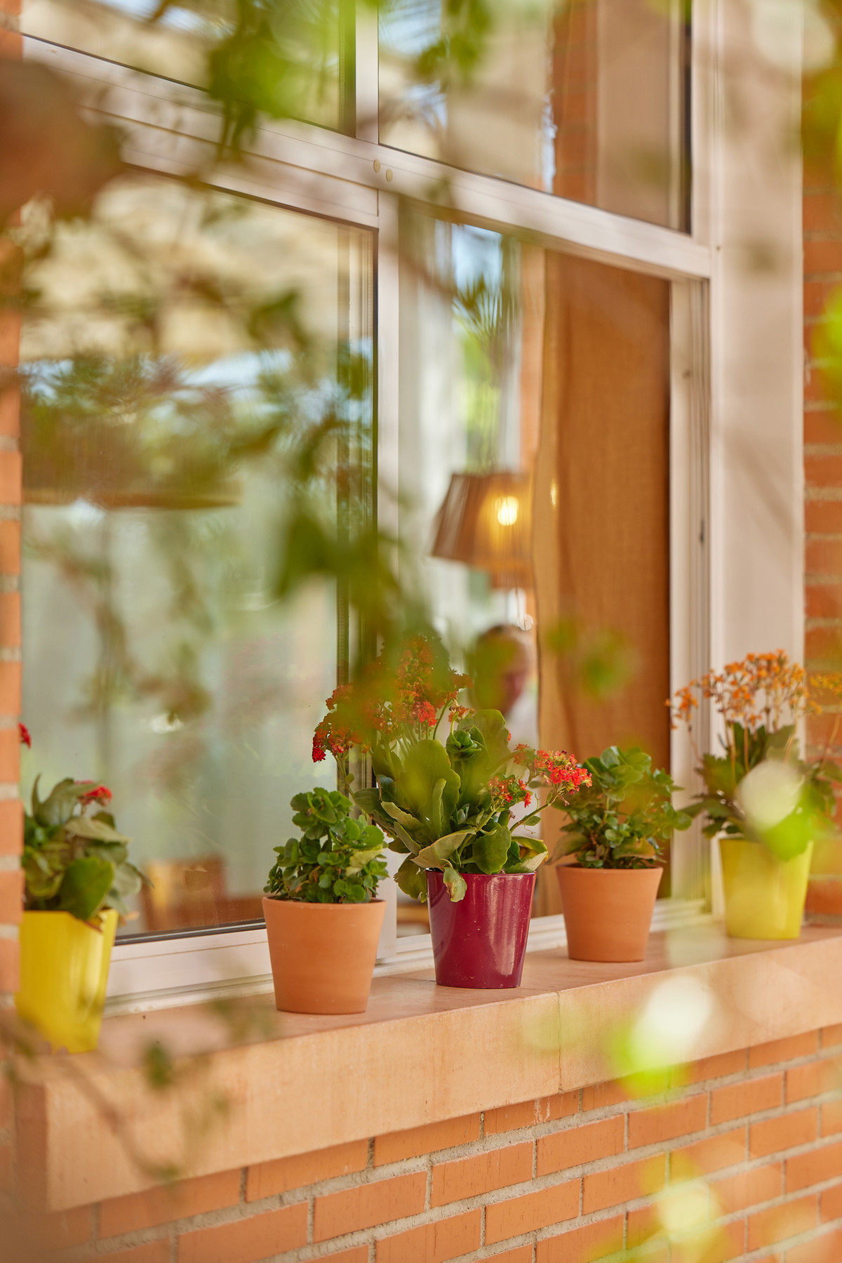 Appartement te koop in L'Alfás del Pi | 1 - 2 slaapkamers H5208640