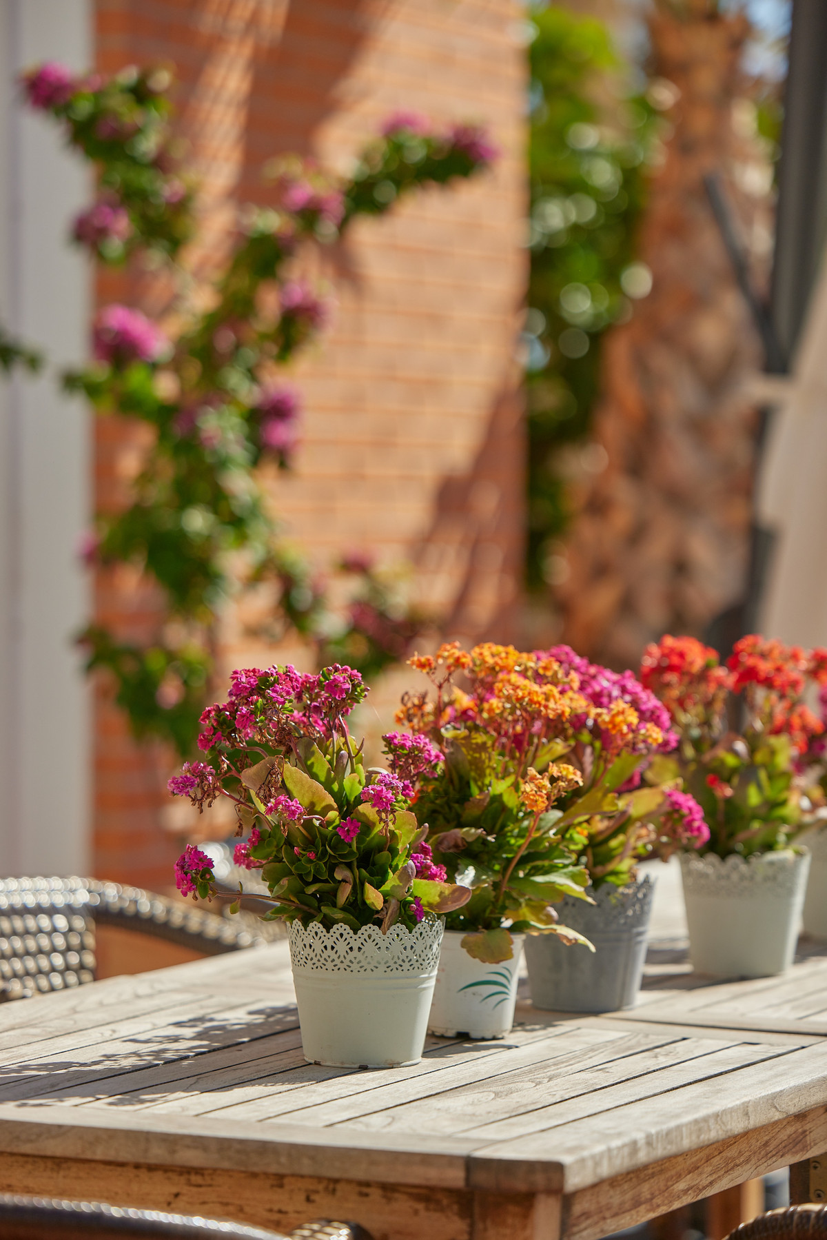 Appartement te koop in L'Alfás del Pi | 1 - 2 slaapkamers H5208640