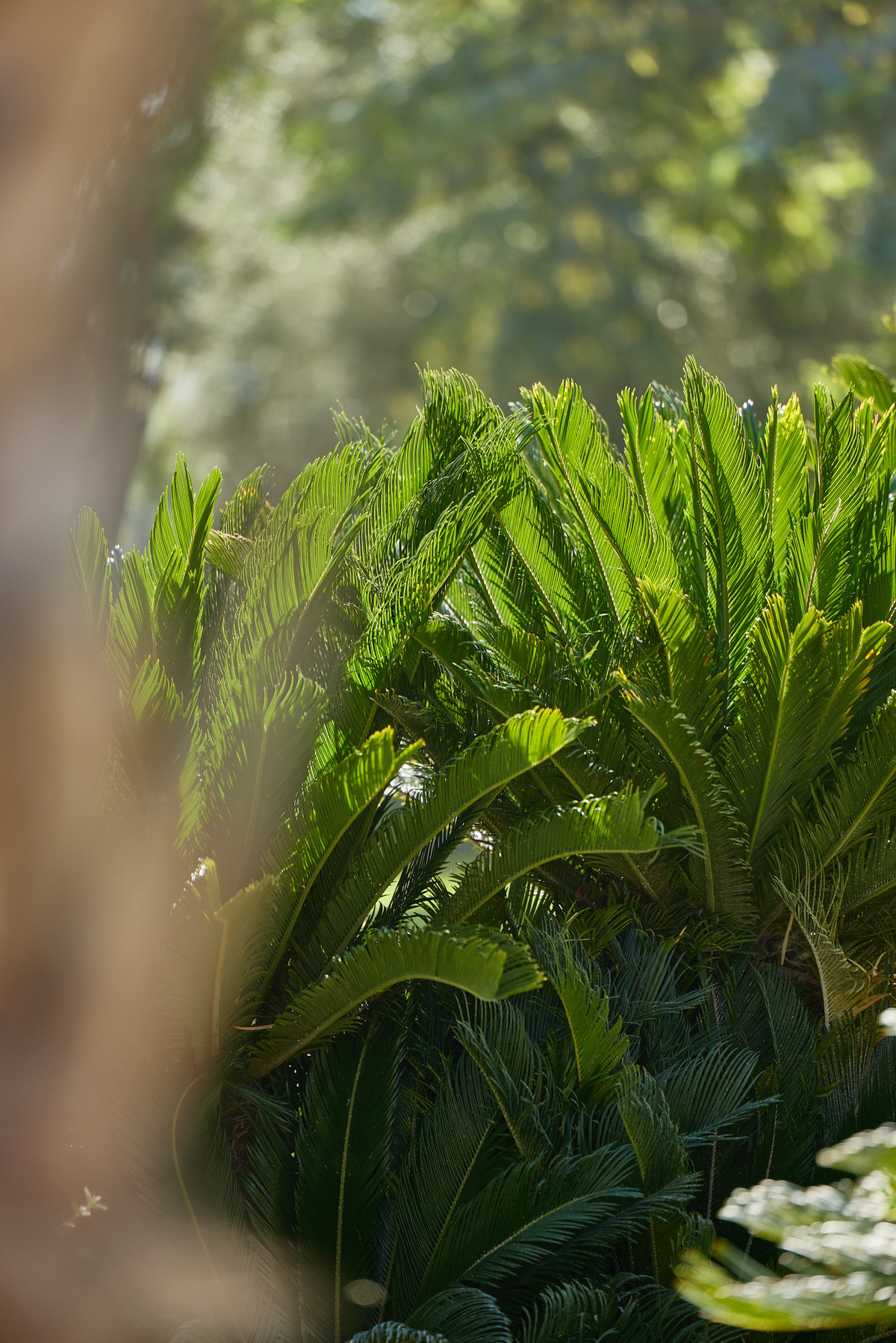 Appartement te koop in L'Alfás del Pi | 1 - 2 slaapkamers H5208640