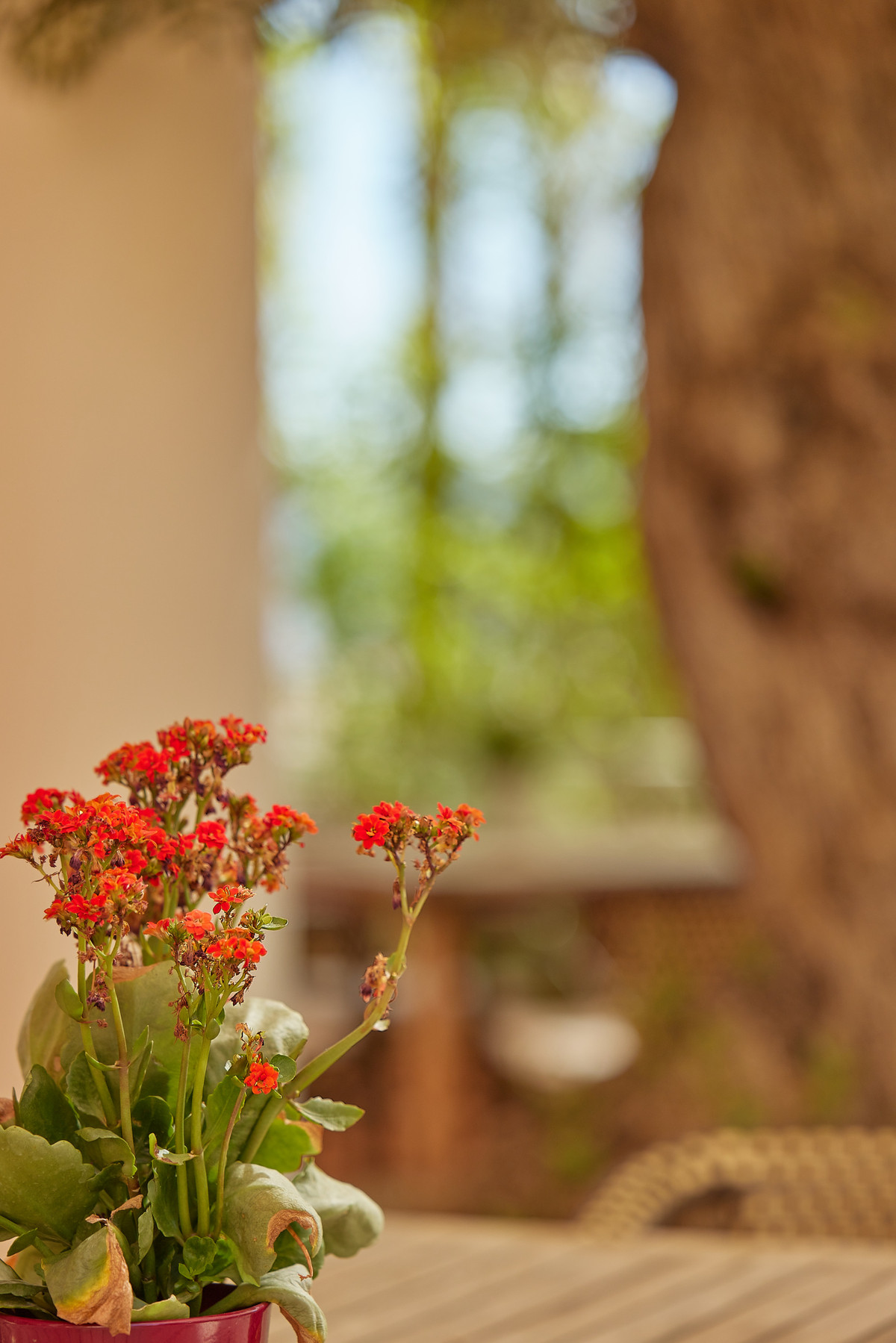 Appartement te koop in L'Alfás del Pi | 1 - 2 slaapkamers H5208640