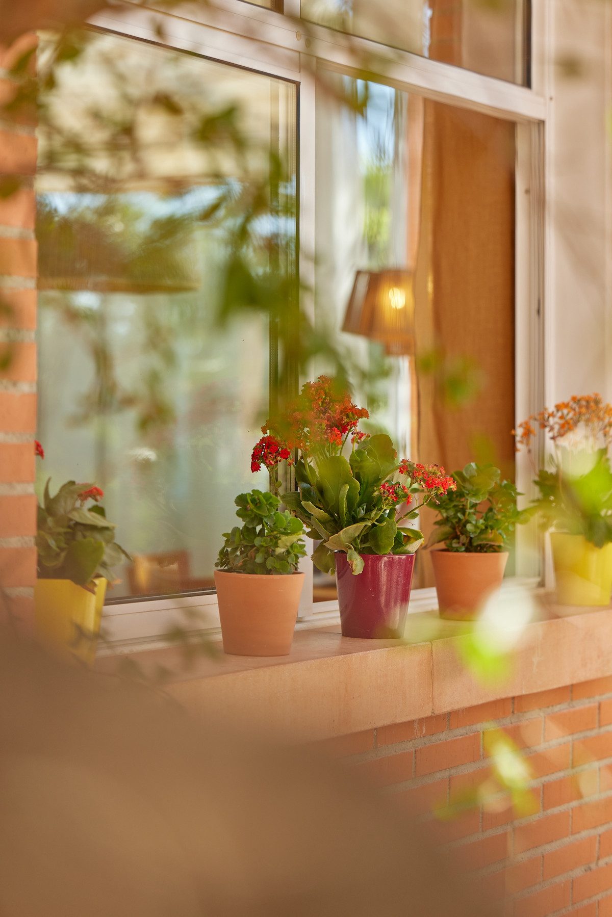 Appartement te koop in L'Alfás del Pi | 1 - 2 slaapkamers H5208640