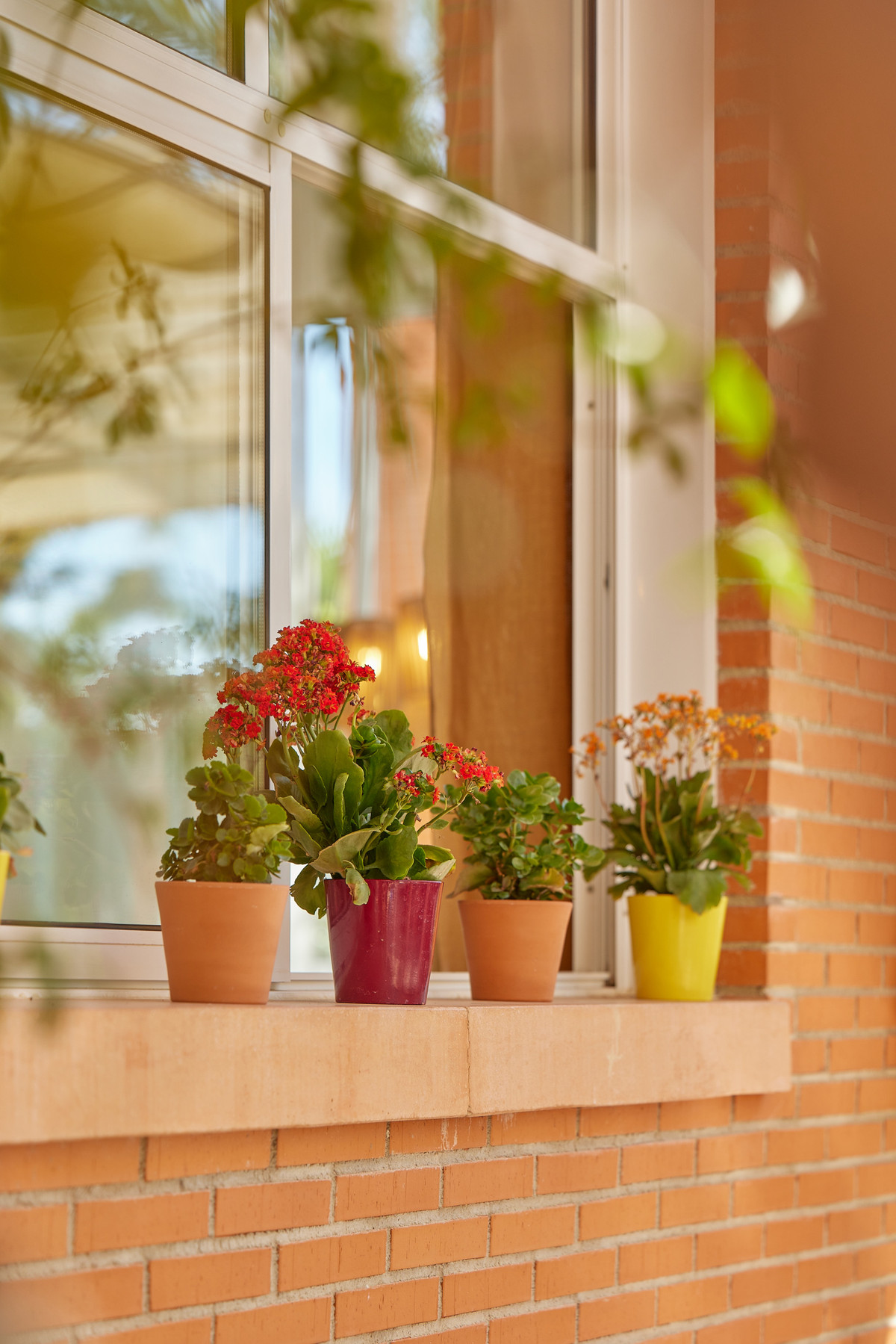 Appartement te koop in L'Alfás del Pi | 1 - 2 slaapkamers H5208640