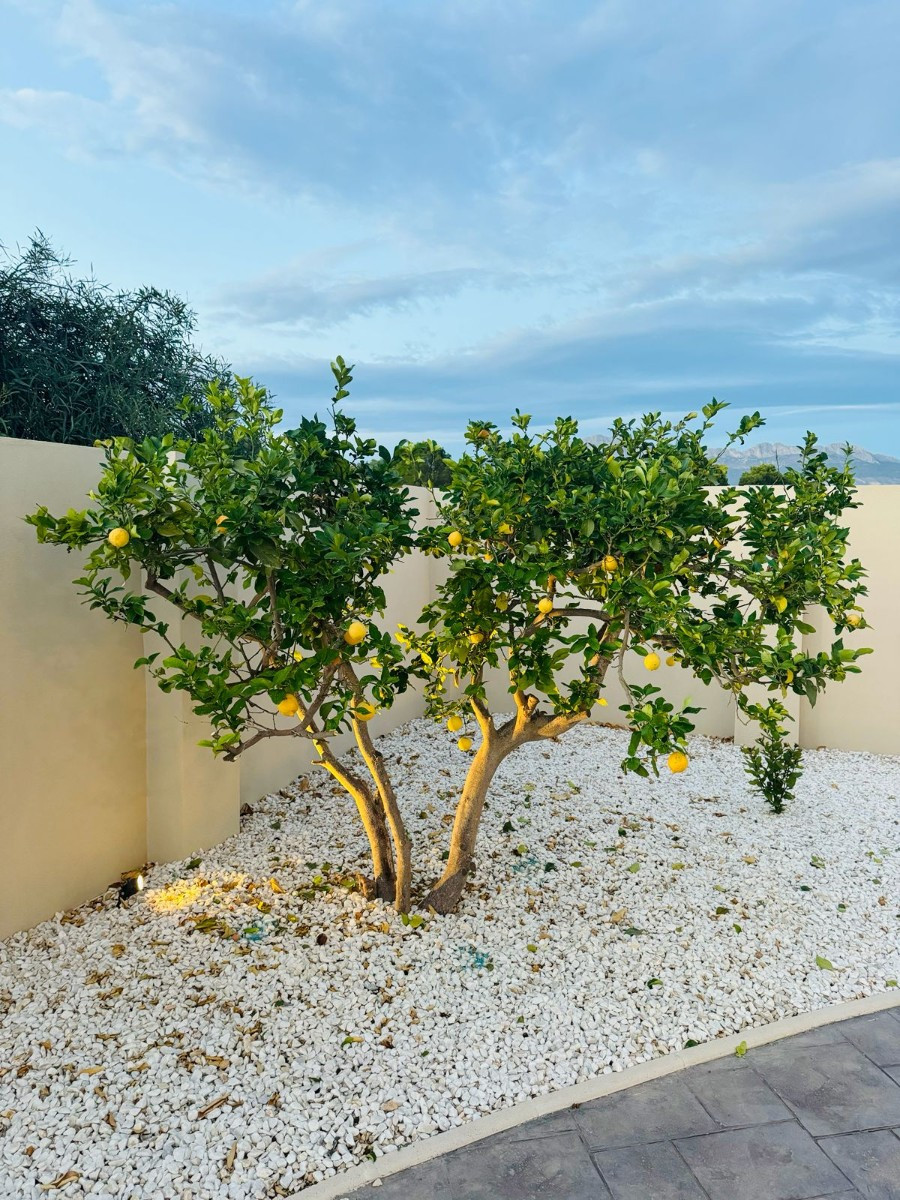 Property main view 44