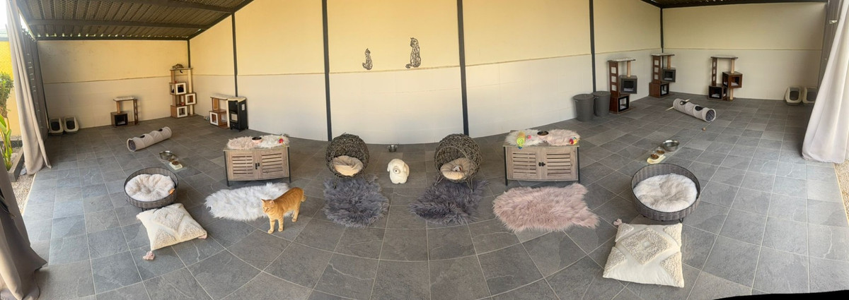 Property main view 45