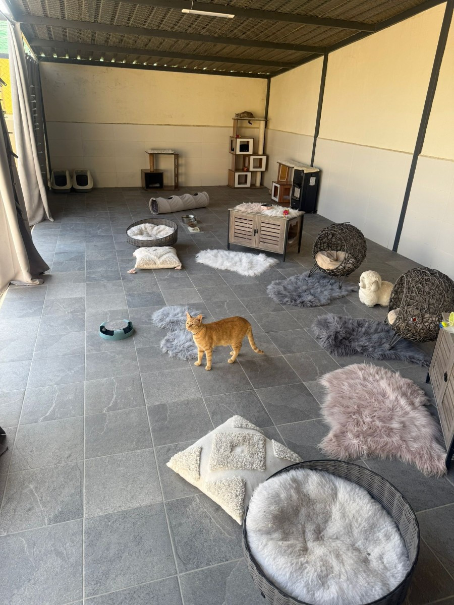 Property main view 47